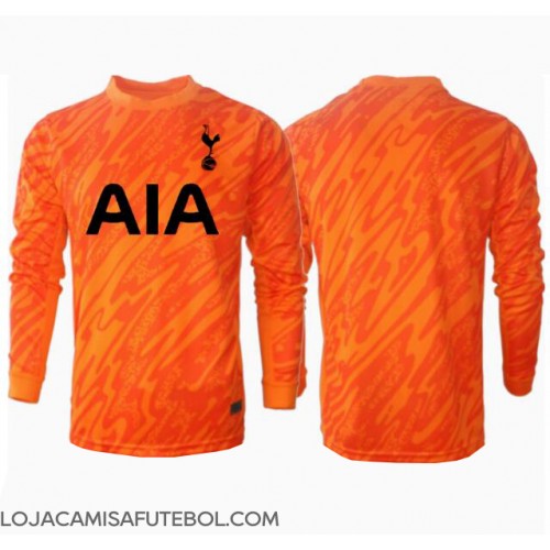 Camisa de Futebol Tottenham Hotspur Goleiro Equipamento Secundário 2024-25 Manga Comprida